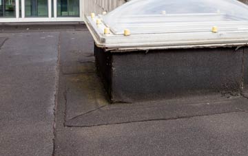 disadvantages of East Law flat roofs